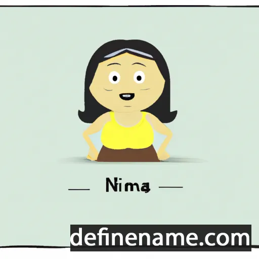 cartoon of the name Nirma