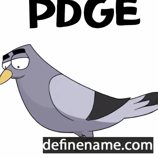 Pidge cartoon