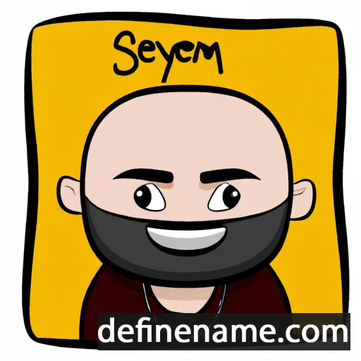 Seymen cartoon