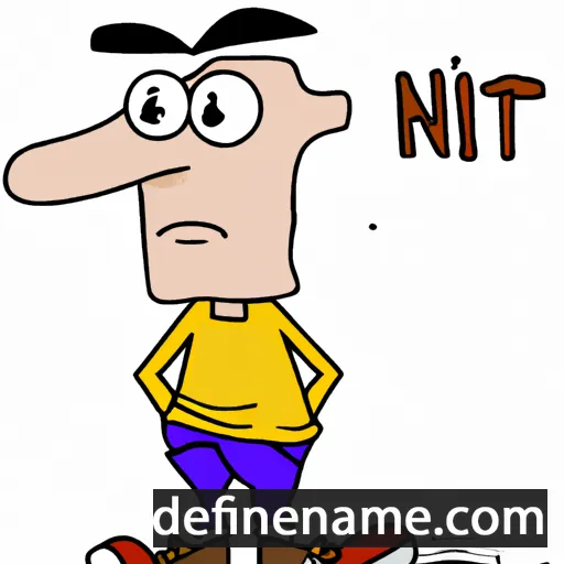 cartoon of the name Nit