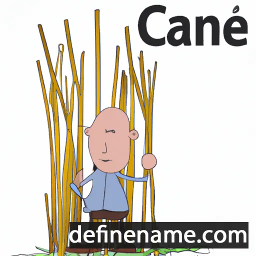 Cane cartoon